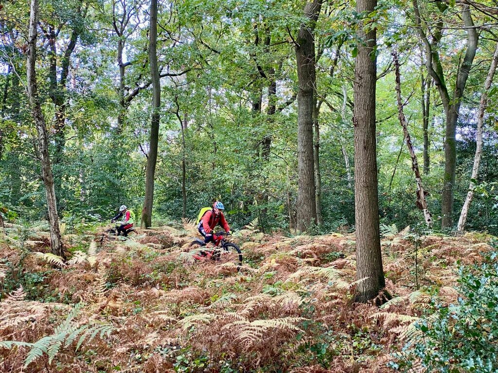 SORTIE VTT - ROUMARE