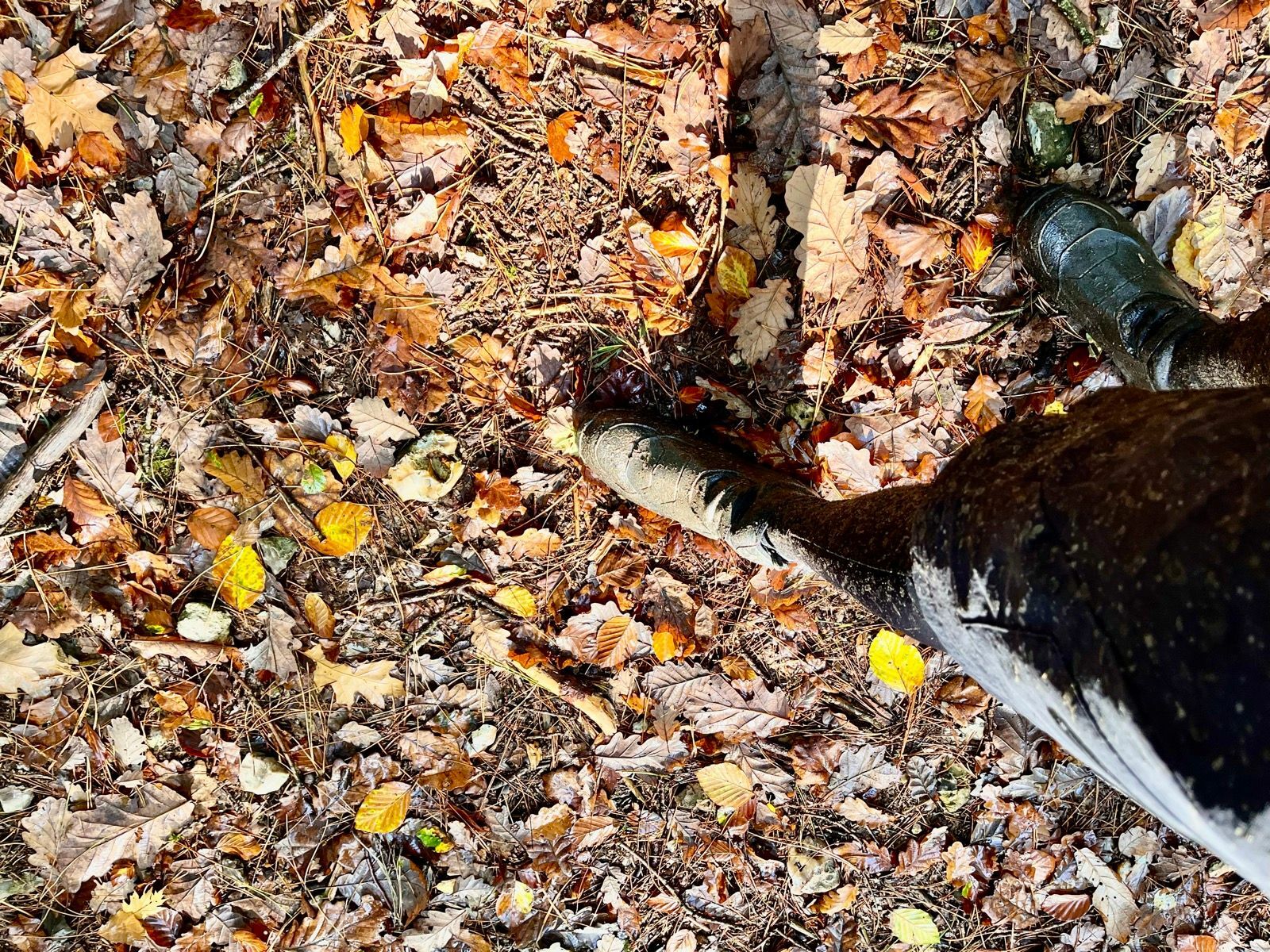 Parking rue de la mare sansoure (Alain).