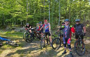 Forêt de Bord (parcours sportif des Damps)