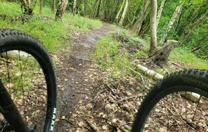 SORTIE VTT - ROUMARE