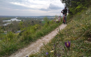 Entre Andelle et Seine