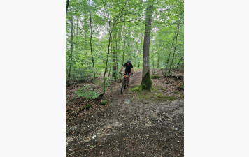 Sortie forêt de roumare